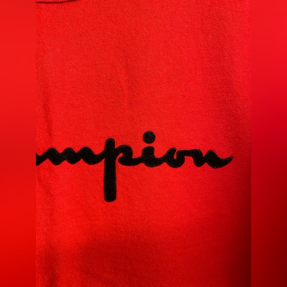 Vintage Men’s Medium Champion Tee T-Shirt Velvet Logo - Picture 4 of 9